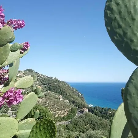 Casa Con Ulivo E Bella Vista Vicino Parco C. Terre Semesterbostad *