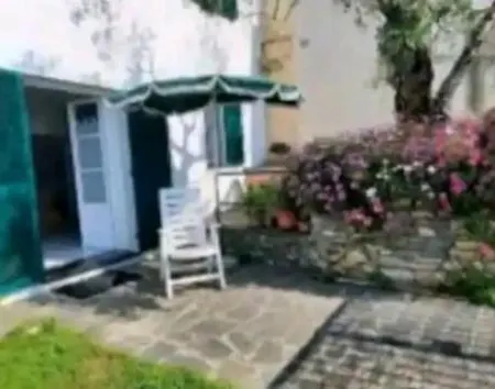 Casa Con Ulivo E Bella Vista Vicino Parco C. Terre