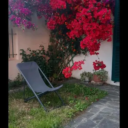 Casa Con Ulivo E Bella Vista Vicino Parco C. Terre