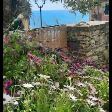 Casa Con Ulivo E Bella Vista Vicino Parco C. Terre Semesterbostad Zoagli