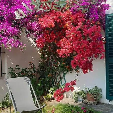 Vakantiehuis Casa Con Ulivo E Bella Vista Vicino Parco C. Terre Zoagli