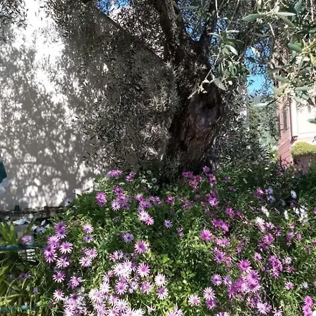Ferienhaus Casa Con Ulivo E Bella Vista Vicino Parco C. Terre